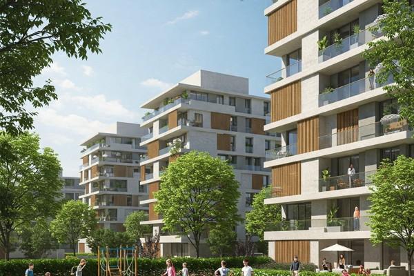 דונה בכרמי גת