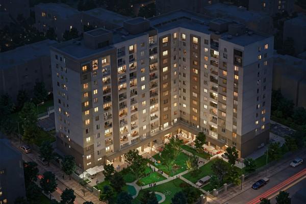 דונה בכרמי גת