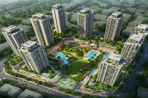 כרמי גת הירוקה