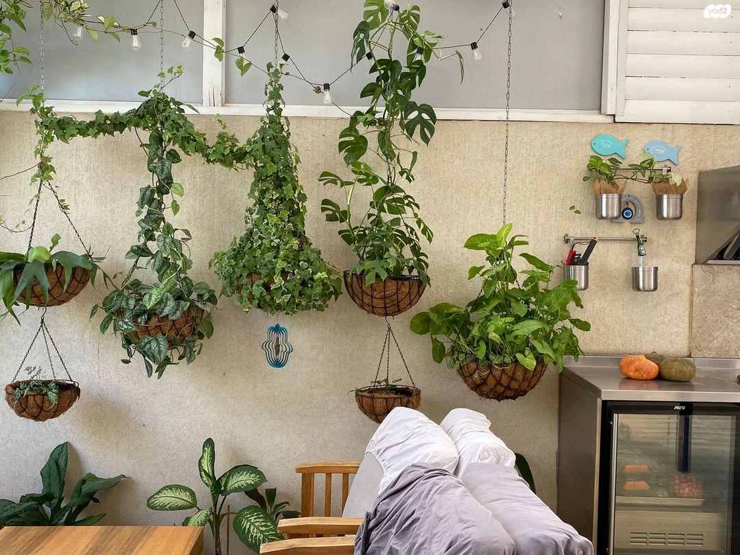 גדרה דו משפחתי